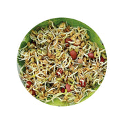 Eco-Friendly Ancient Eastern Blend Seeds for Sprouts