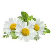 Heirloom Chamomile Seeds