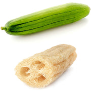 Heirloom Gourd (Luffa) Seeds