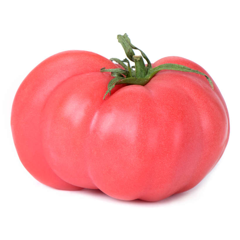Heirloom Tomato (Pink Brandywine) Seeds