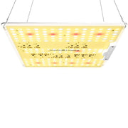 Spider Farmer SF1000D Grow Light