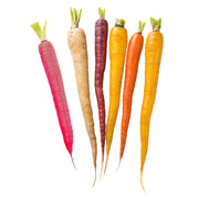 Eco-Friendly Carrot (Rainbow Blend) Seeds