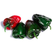 Heirloom Pepper (Ancho Poblano) Seeds