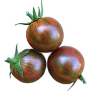 Eco-Friendly Tomato (Purple Bumblebee) Seeds
