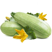 Heirloom Squash (Vegetable Marrow) Seeds