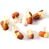 Eco-Friendly Bean (Adzuki) Seeds for Sprouts