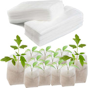 Biodegradable Seedlings Pots