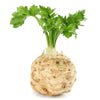 Heirloom Celeriac (Giant Prague) Seeds