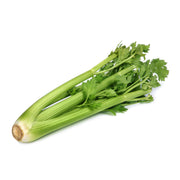Heirloom Celery (Tall Utah 52-70) Seeds