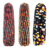 Eco-Friendly Corn (Glass Gem) Seeds