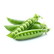 Heirloom Peas (Shelling Green Arrow) Seeds