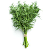 Eco-Friendly Dill Seeds