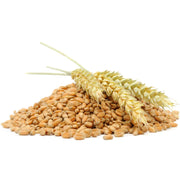 Eco-Friendly Wheat (Hard Red Spring)