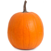 Heirloom Pumpkin (Jack O' Lantern) Seeds