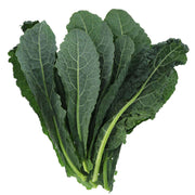 Eco-Friendly Kale (Green Lacinato) Seeds