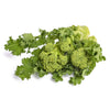 Heirloom Broccoli Raab (Rapini) Seeds