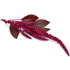 Eco-Friendly Amaranth (Red) Seeds