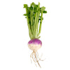 Heirloom Turnip (Purple Top White Globe) Seeds