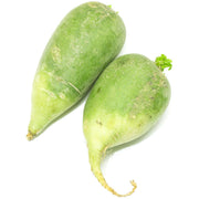 Heirloom Radish (Wasabi) Seeds